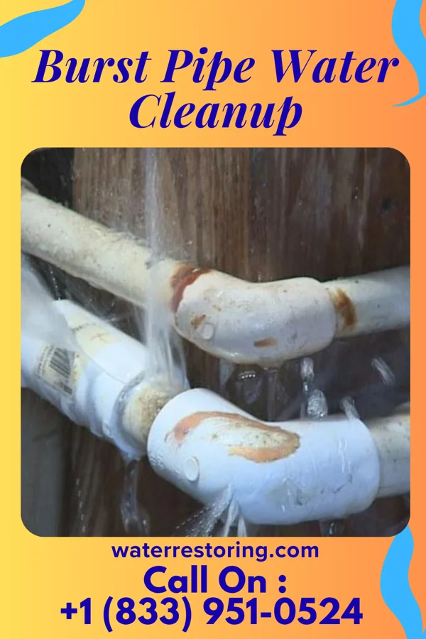 Burst Pipe Water Cleanup in North Irwin, PA