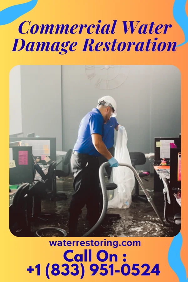 Commercial Water Damage Restoration in North Irwin, PA