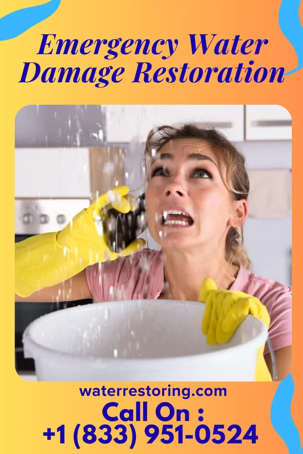 Emergency Water Damage Restoration in North Irwin, PA