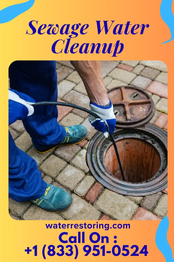 Sewage Water Cleanup in North Irwin, PA